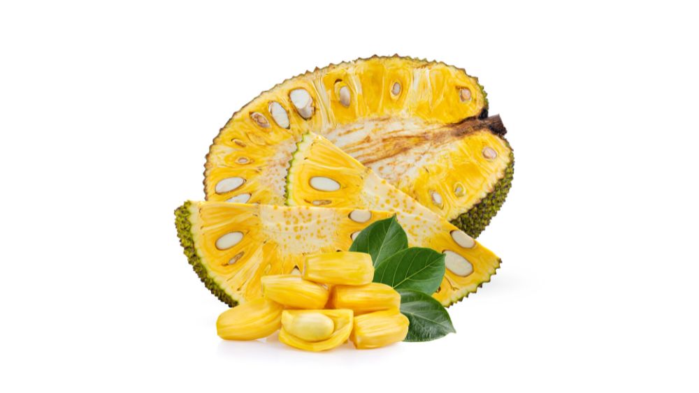 Fresh Ripe Jackfruit Cut Open - DR. PRIYANKUR ROY Blog
